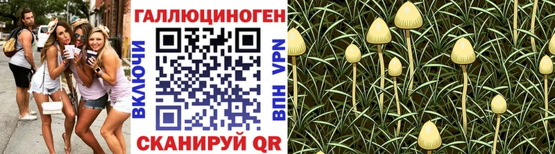 Псилоцибиновые грибы мухоморы Иваново